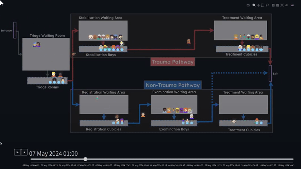 Vidigi: animated queues for simulations and reality